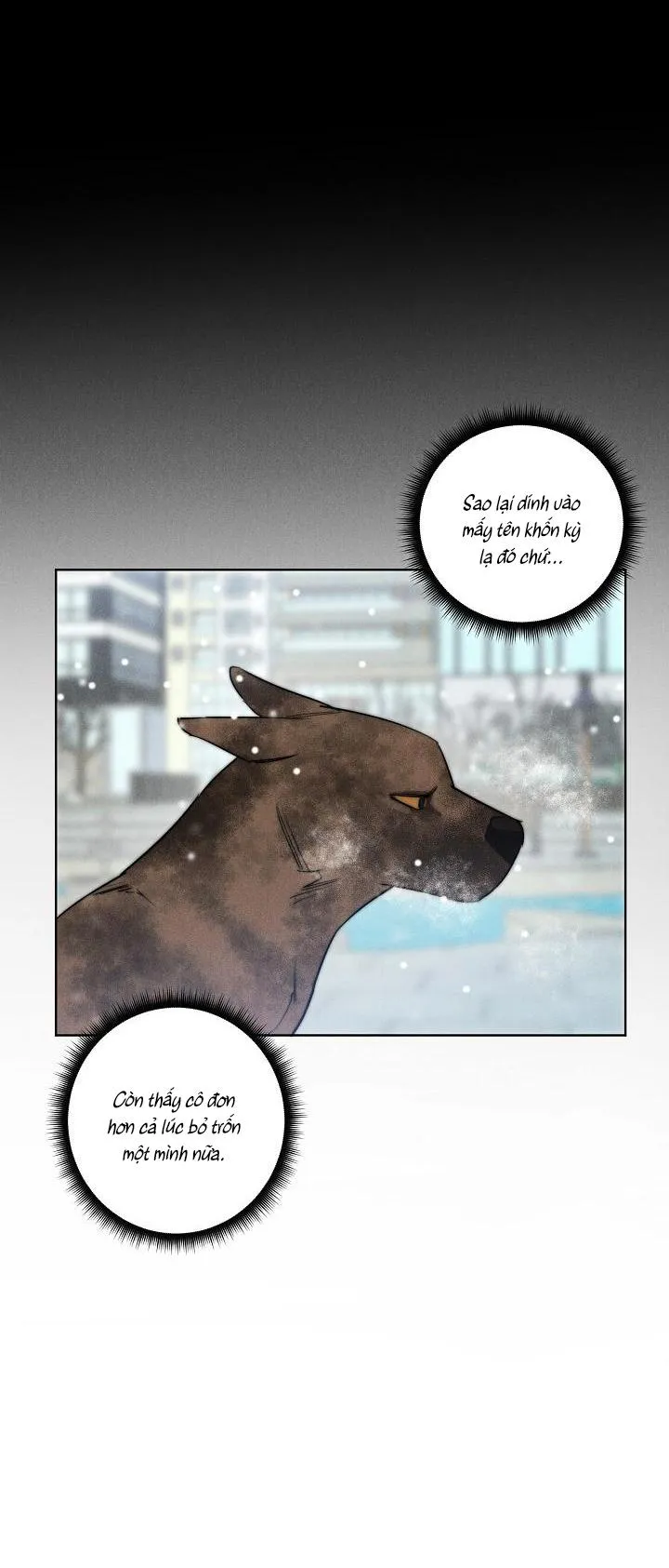 LANG THANG (WANDER OFF) Chapter 11 Trang 17