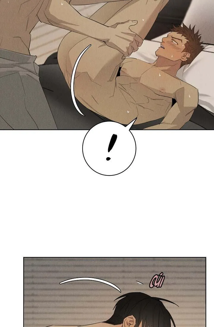 LANG THANG (WANDER OFF) Chapter 12 Trang 3