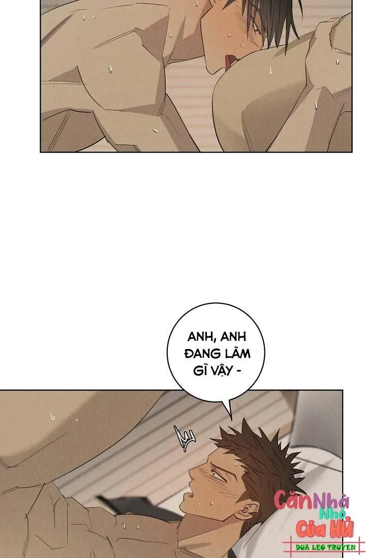 LANG THANG (WANDER OFF) Chapter 12 Trang 4