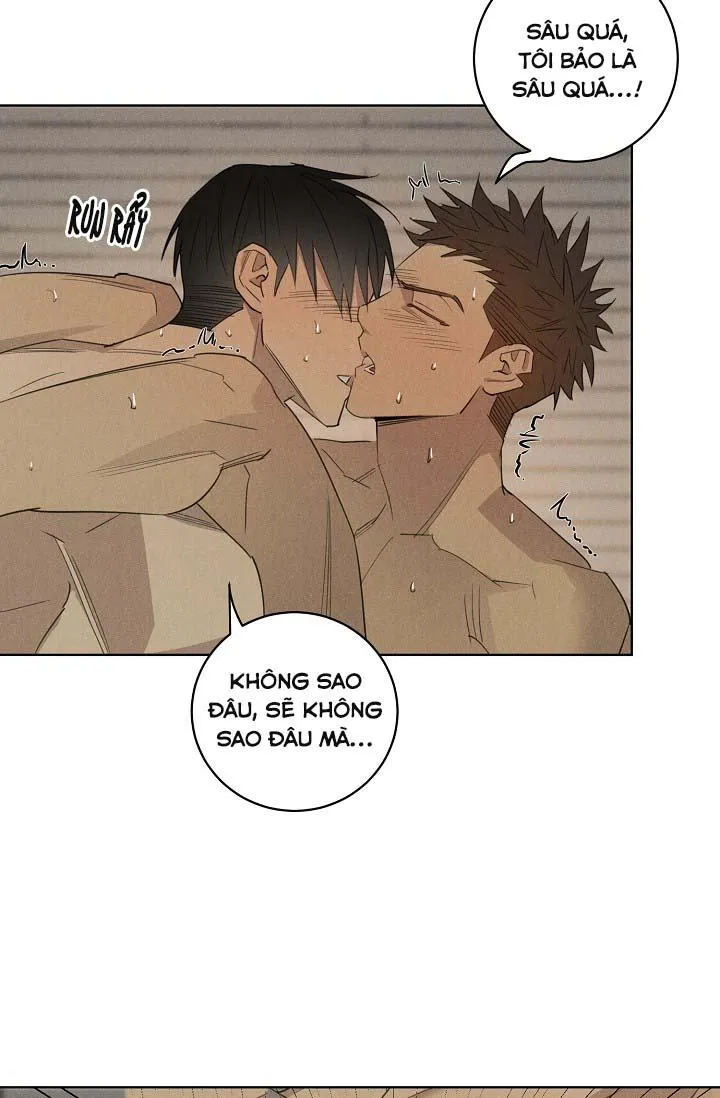 LANG THANG (WANDER OFF) Chapter 12 Trang 21