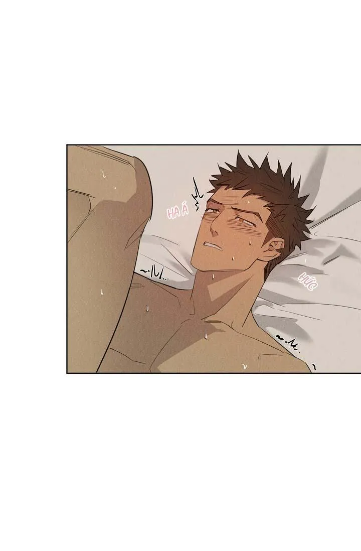 LANG THANG (WANDER OFF) Chapter 12 Trang 26