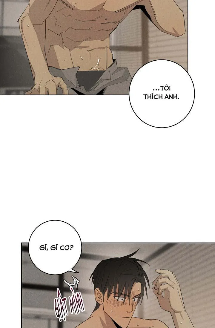 LANG THANG (WANDER OFF) Chapter 12 Trang 29