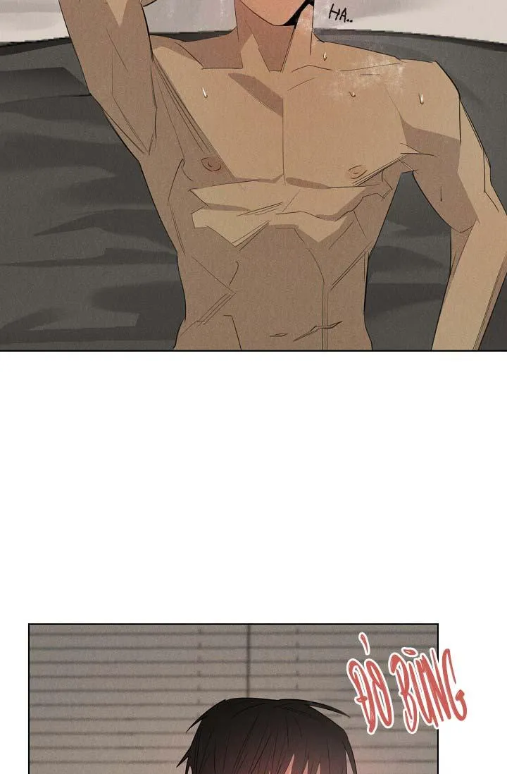 LANG THANG (WANDER OFF) Chapter 12 Trang 31