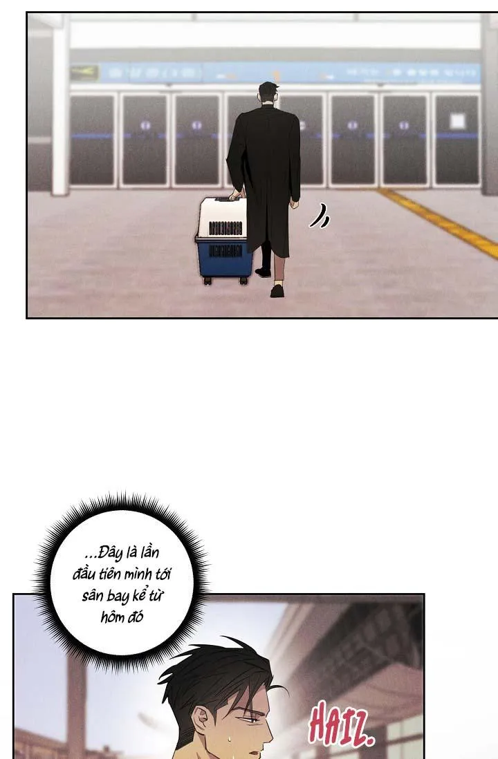 LANG THANG (WANDER OFF) Chapter 13 Trang 18