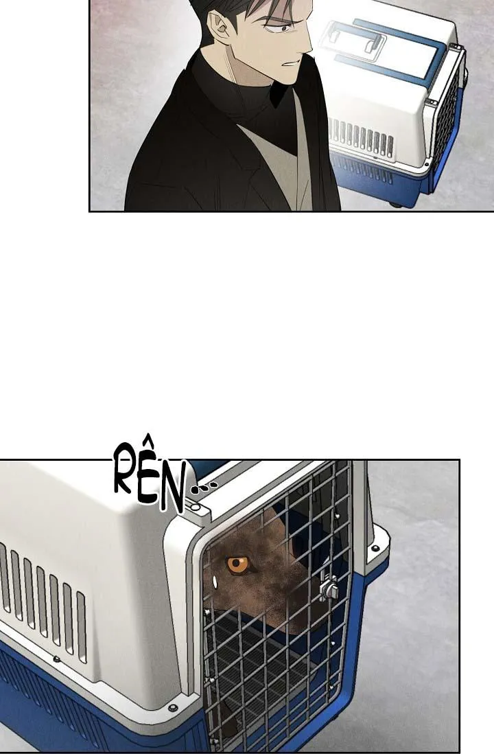 LANG THANG (WANDER OFF) Chapter 13 Trang 23