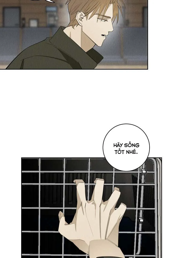 LANG THANG (WANDER OFF) Chapter 13 Trang 32