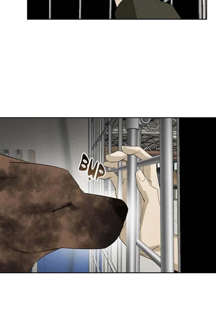 LANG THANG (WANDER OFF) Chapter 13 Trang 33