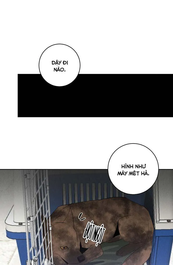 LANG THANG (WANDER OFF) Chapter 13 Trang 43