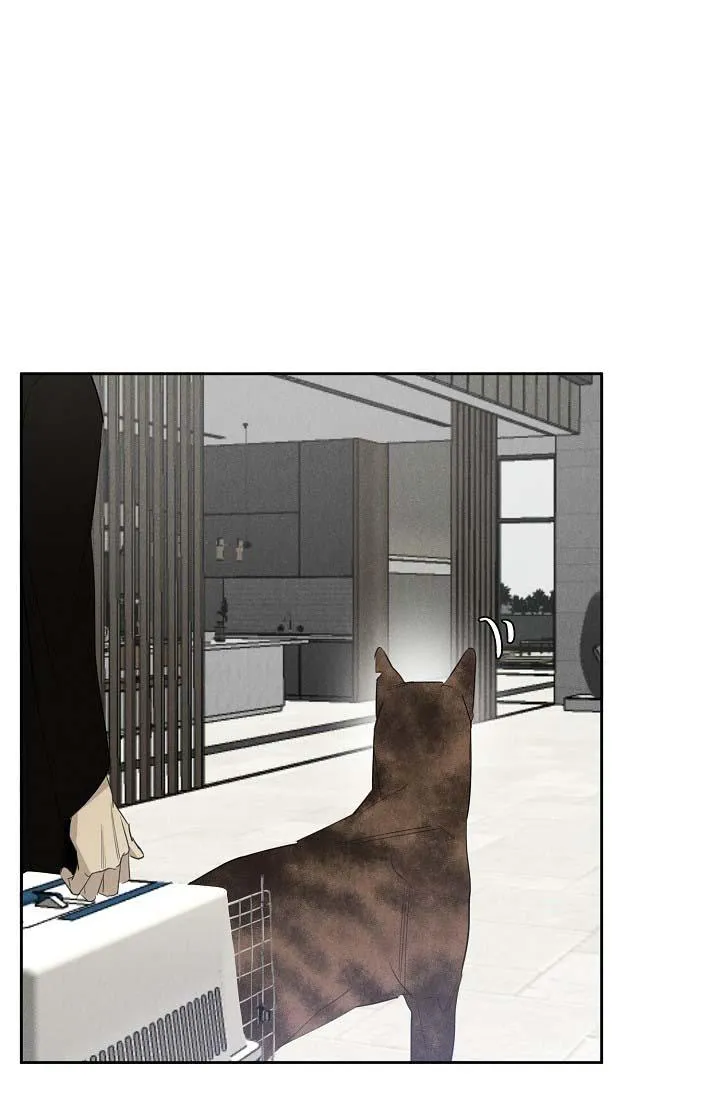 LANG THANG (WANDER OFF) Chapter 13 Trang 45