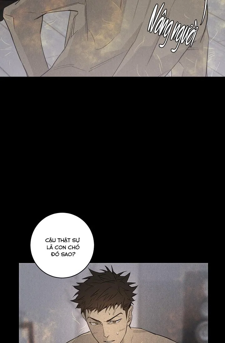 LANG THANG (WANDER OFF) Chapter 0 Trang 9