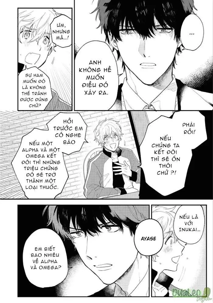 THẾ GIỚI OMEGAVERSE CUỐI CÙNG Chapter 2 Trang 17