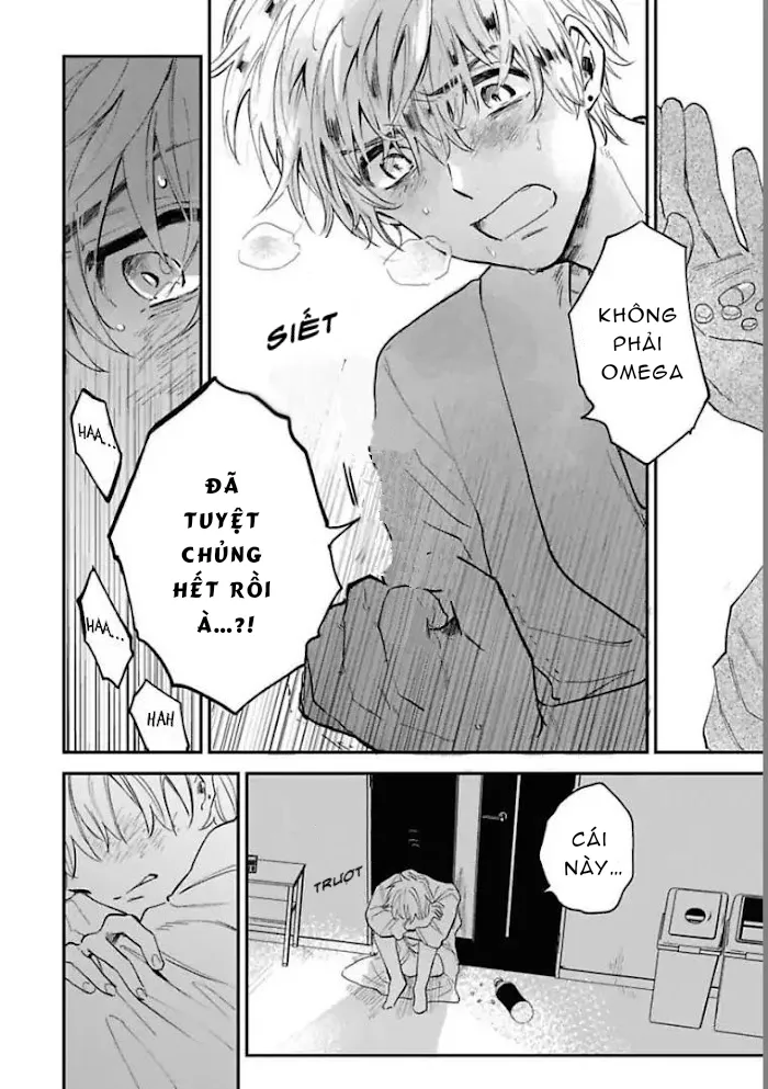 THẾ GIỚI OMEGAVERSE CUỐI CÙNG Chapter 1 Trang 25