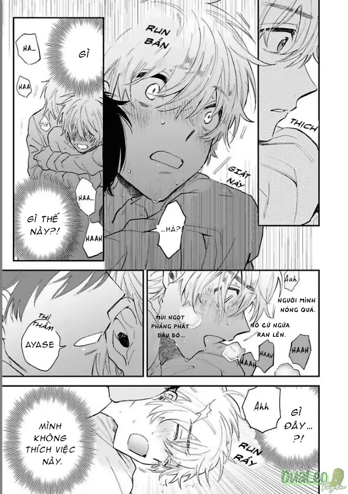 THẾ GIỚI OMEGAVERSE CUỐI CÙNG Chapter 1 Trang 30