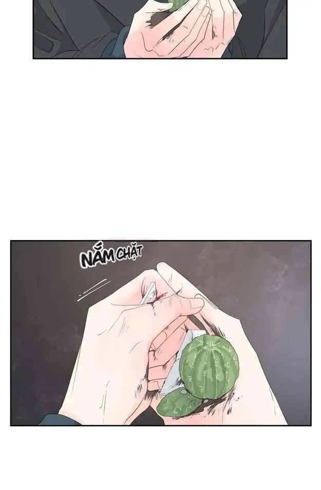 Lâu Đài Cát (END) Chapter 31 Trang 11