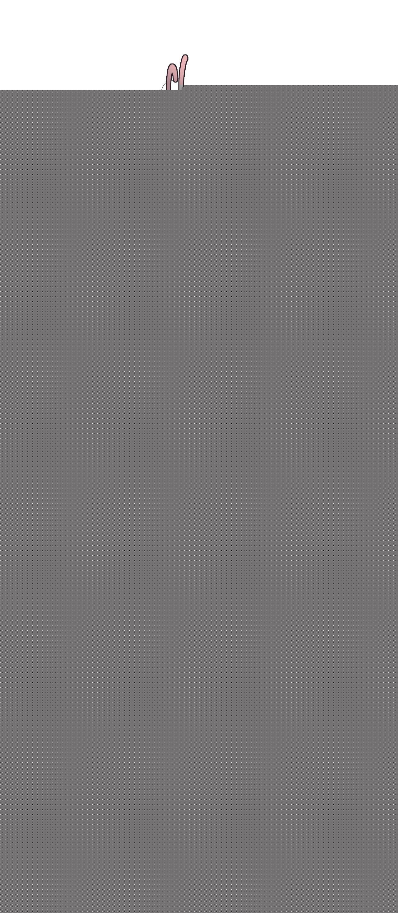 LÂU ĐÀI EBONY Chapter 10 Trang 11