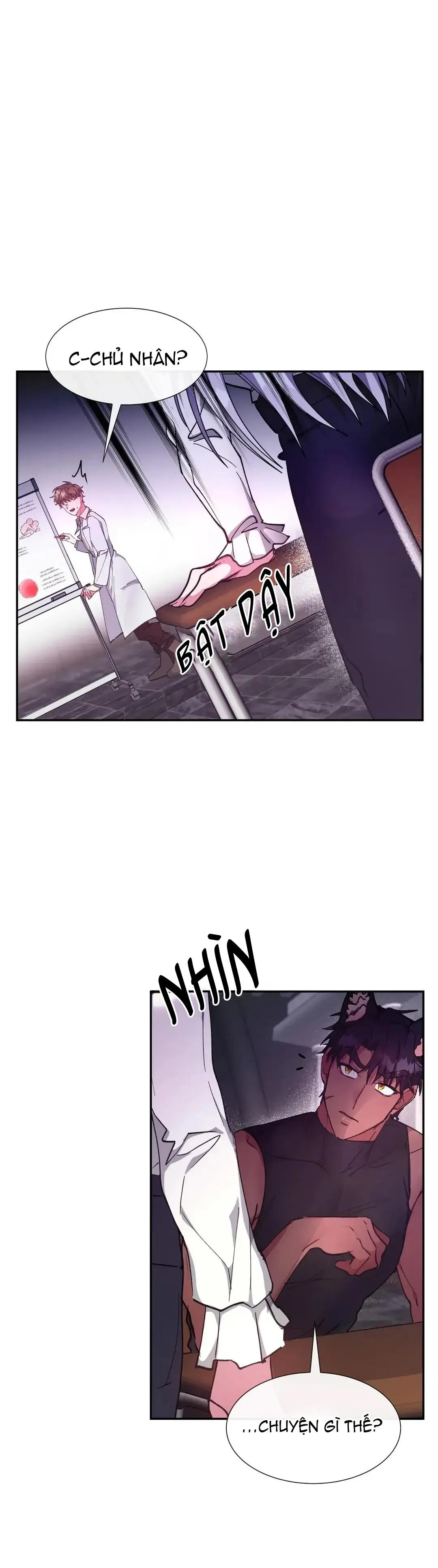 [HOÀN] Lâu Đài Tình Dục Chapter 12 Trang 19