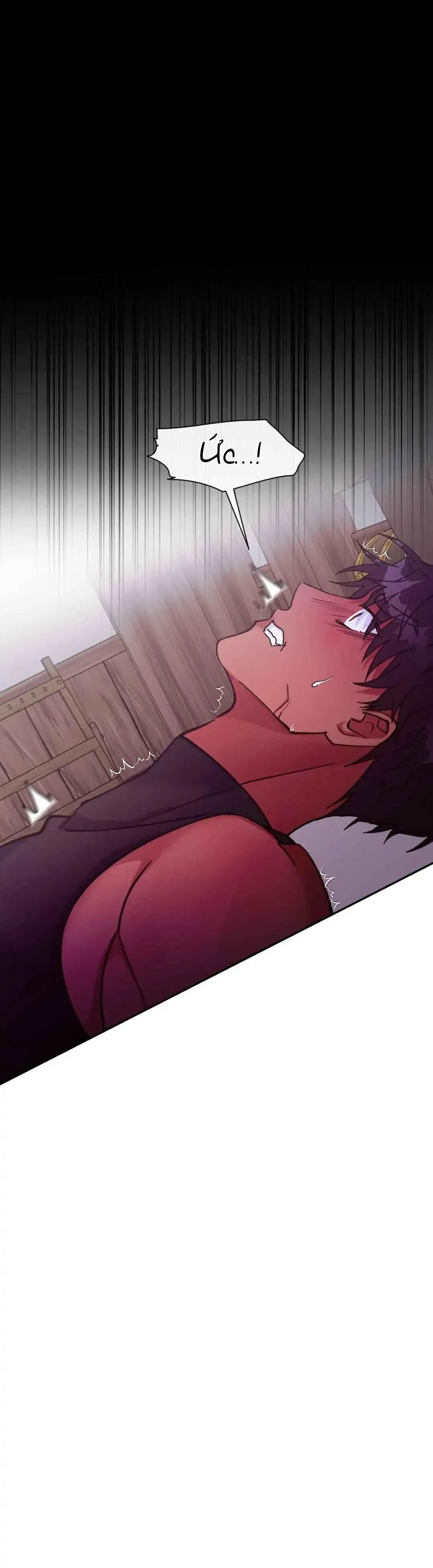 [HOÀN] Lâu Đài Tình Dục Chapter 13 Trang 17