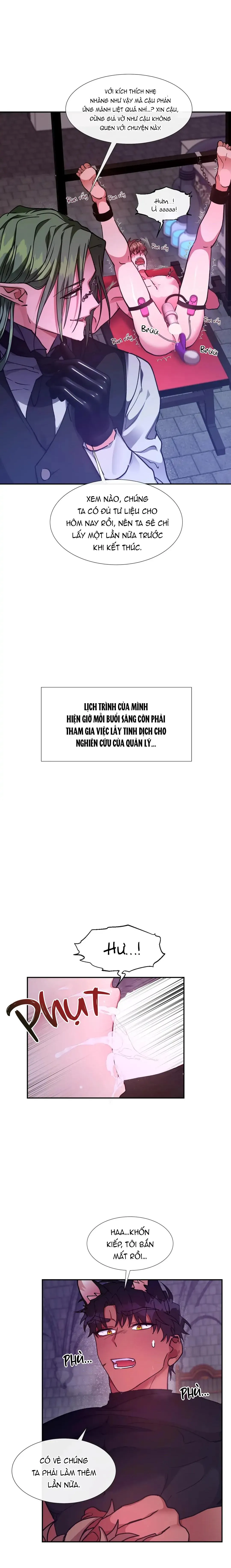 [HOÀN] Lâu Đài Tình Dục Chapter 24 Trang 3