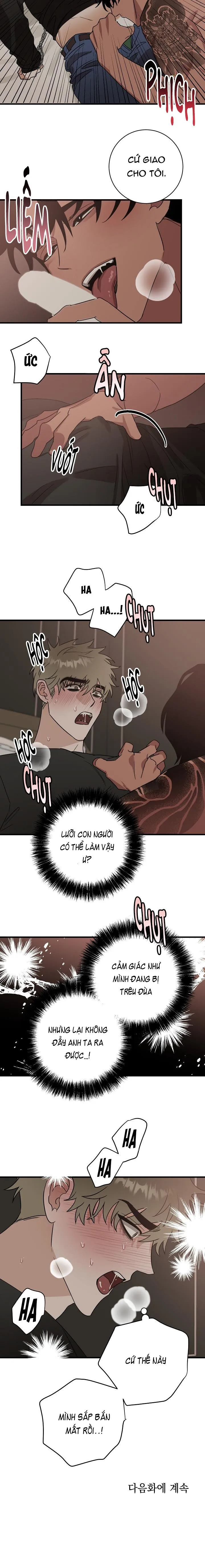 Lễ Tán Sắc Phục Chapter 8 Trang 11