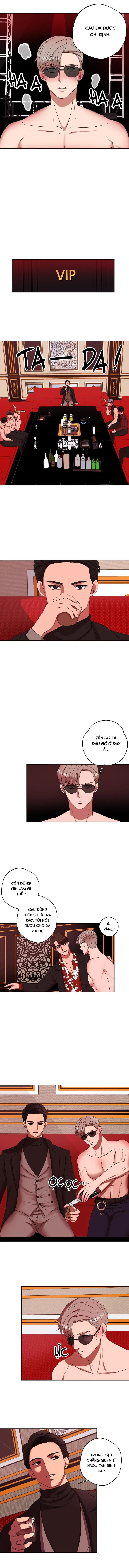 Lễ Tán Sắc Phục Chapter 13 Trang 6