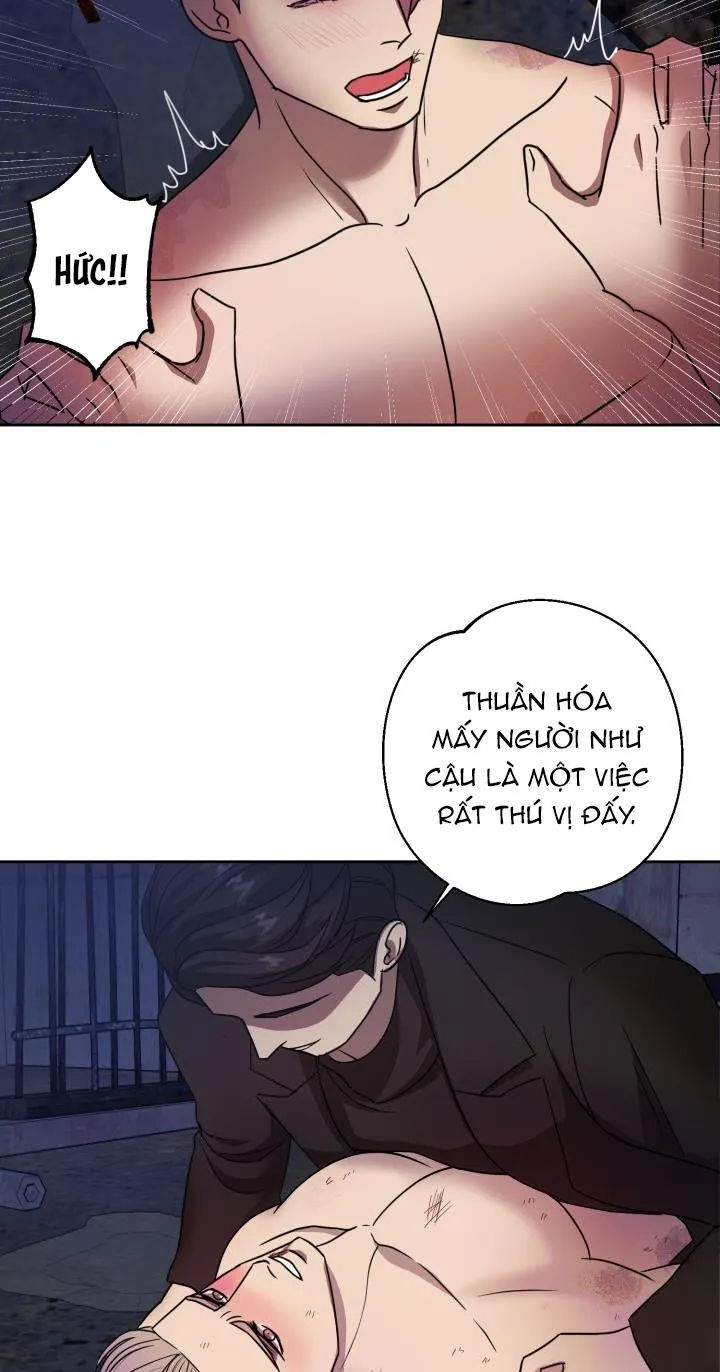 Lễ Tán Sắc Phục Chapter 14 Trang 8