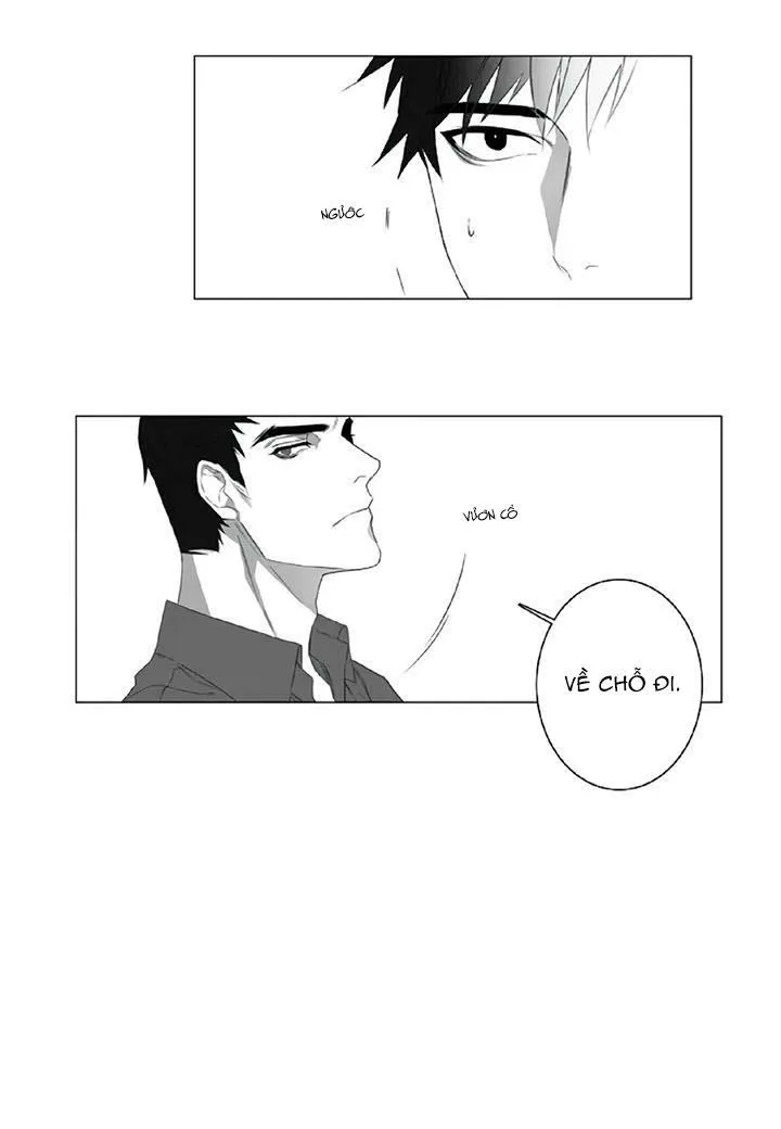 Lies Like Lies Chapter 1 Trang 14