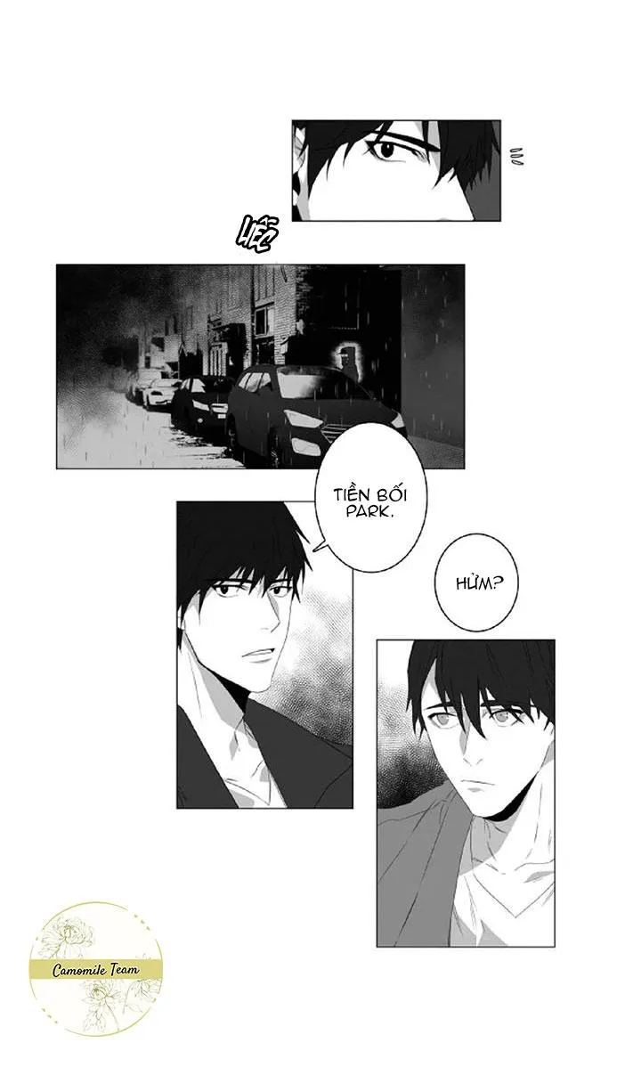 Lies Like Lies Chapter 2 Trang 3