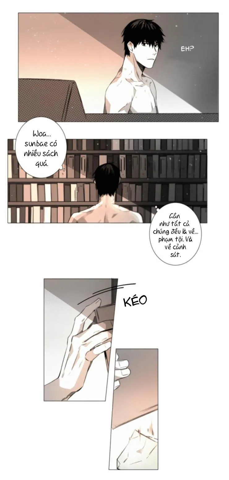 Lies Like Lies Chapter 19 Trang 10