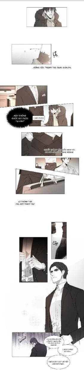 Lies Like Lies Chapter 35 Trang 4