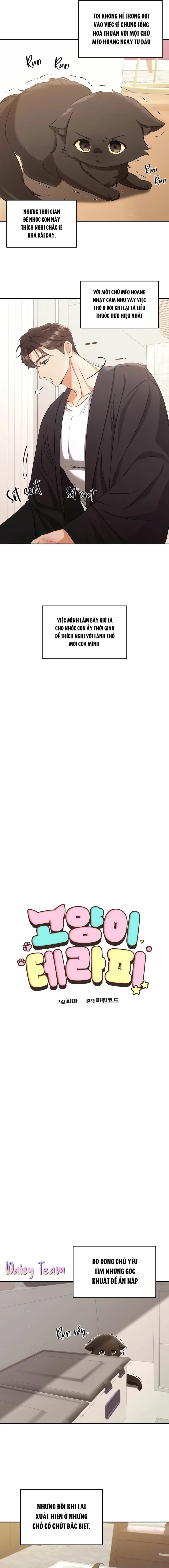 LIỆU PHÁP MÈO Chapter 2 Trang 3