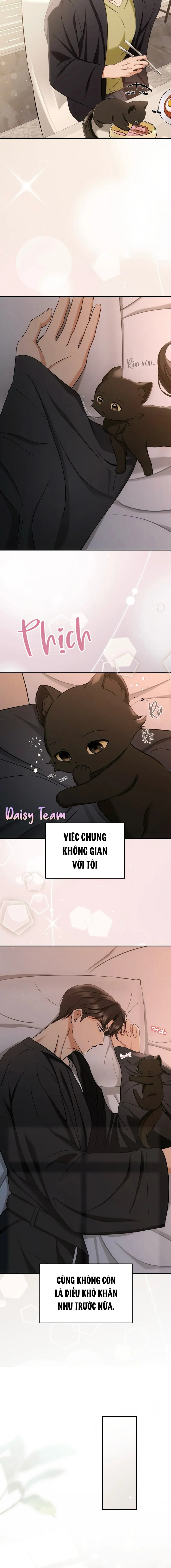 LIỆU PHÁP MÈO Chapter 2 Trang 8