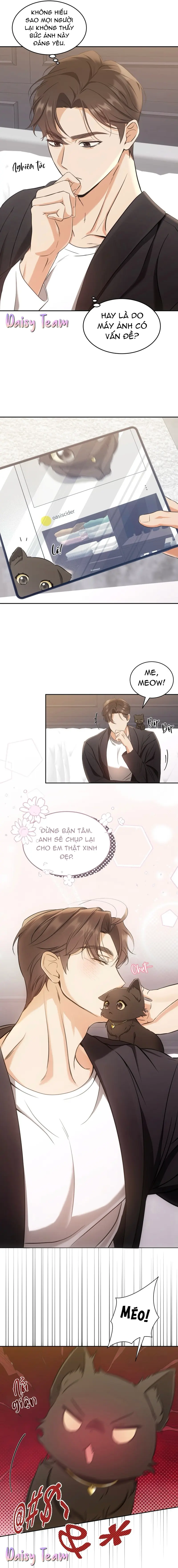 LIỆU PHÁP MÈO Chapter 2 Trang 13