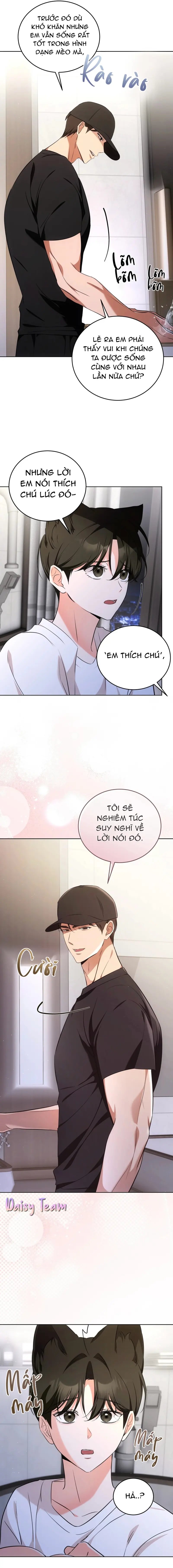 LIỆU PHÁP MÈO Chapter 6 Trang 11