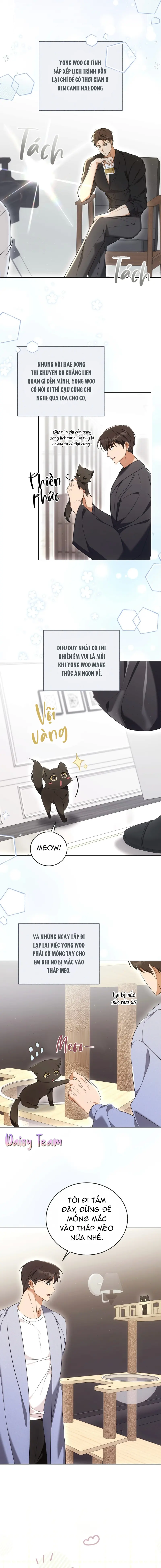 LIỆU PHÁP MÈO Chapter 8 Trang 4