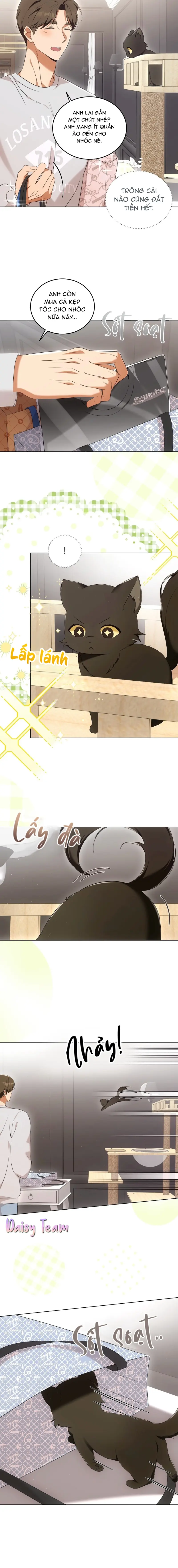 LIỆU PHÁP MÈO Chapter 8 Trang 6