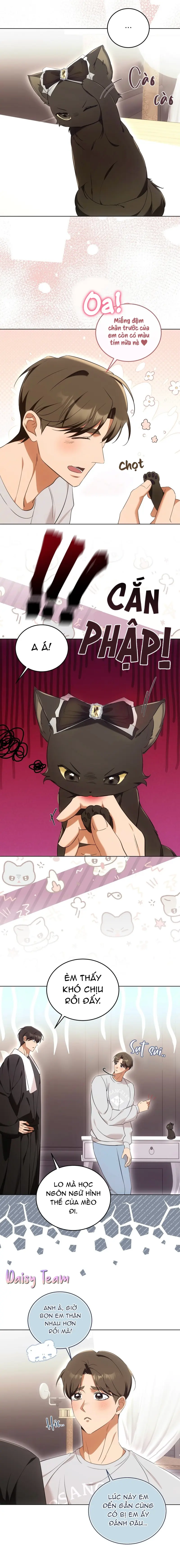 LIỆU PHÁP MÈO Chapter 8 Trang 9