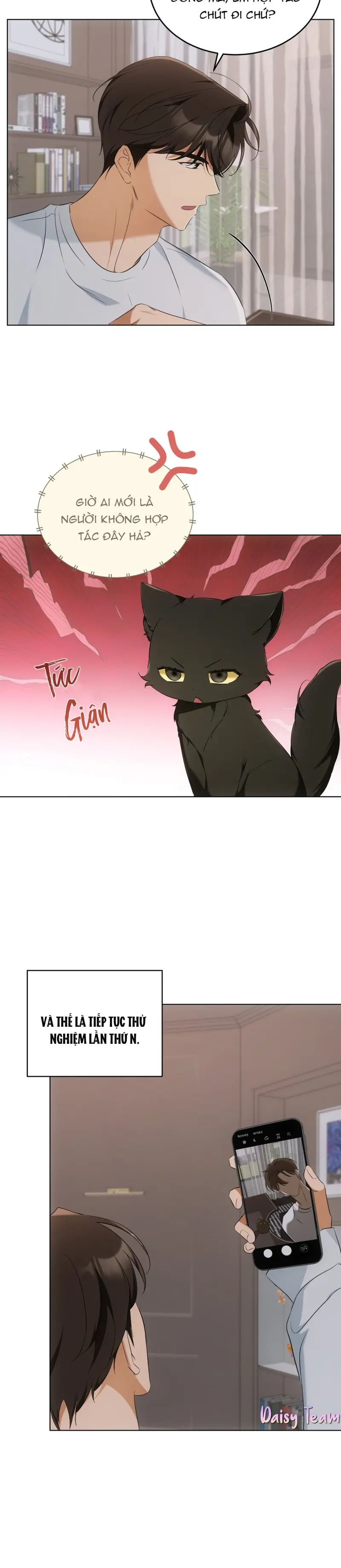 LIỆU PHÁP MÈO Chapter 10 Trang 10