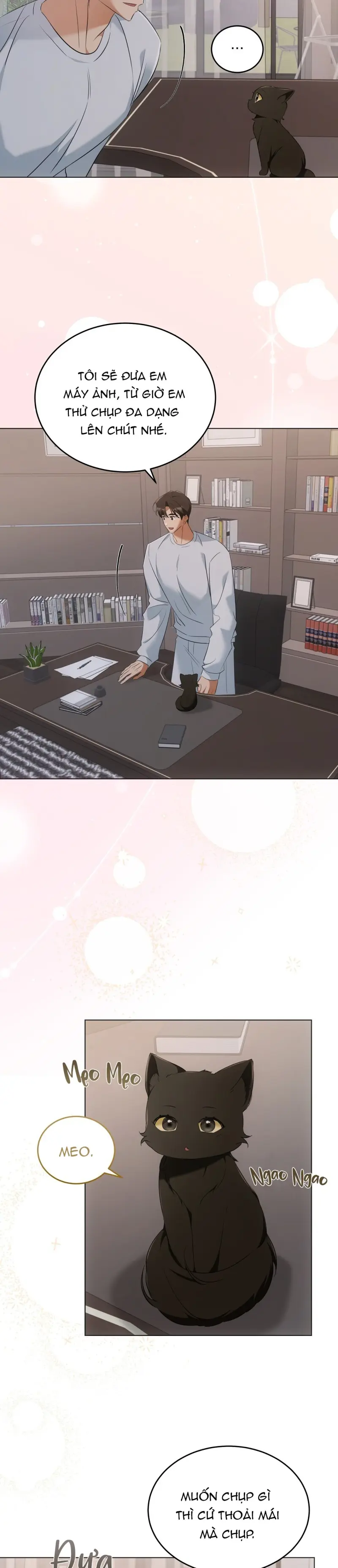 LIỆU PHÁP MÈO Chapter 10 Trang 17
