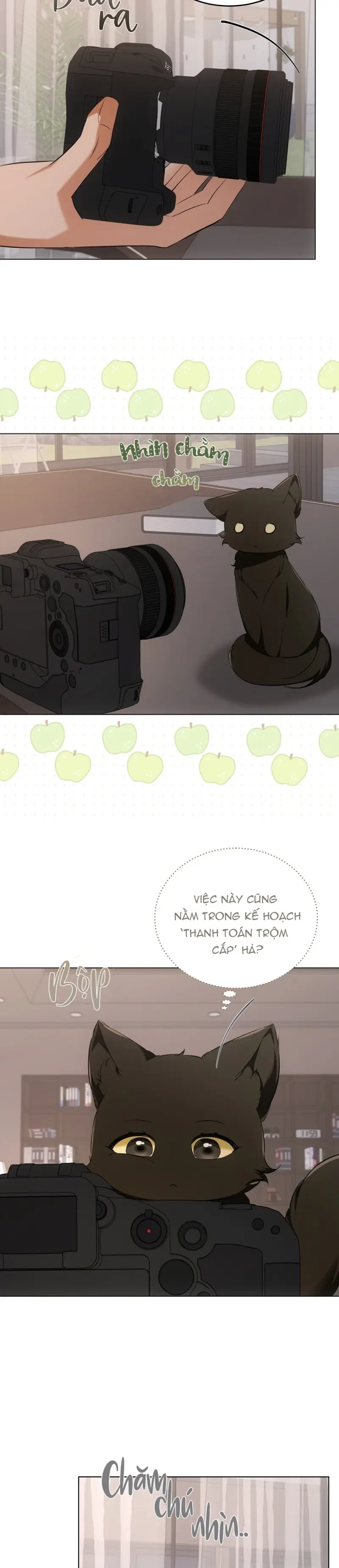 LIỆU PHÁP MÈO Chapter 10 Trang 18