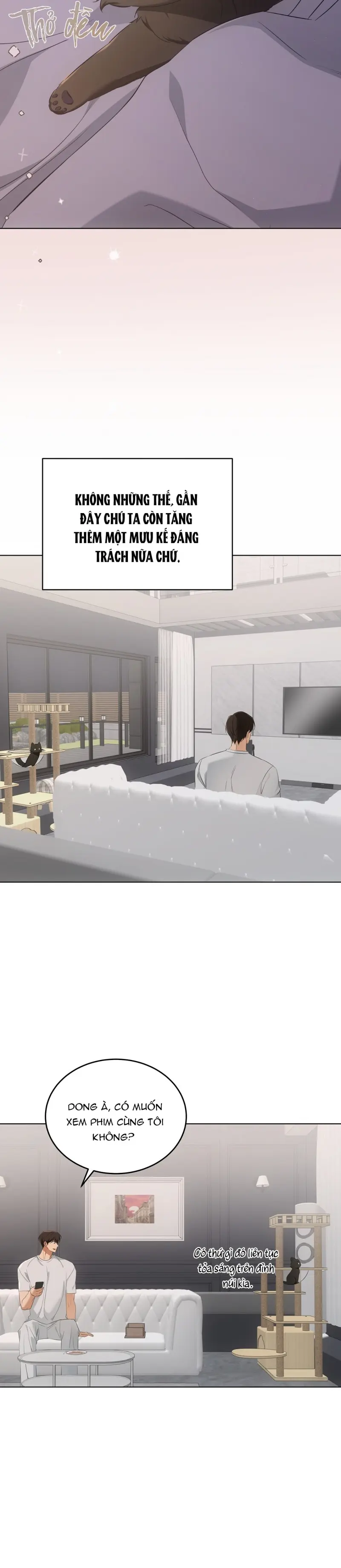 LIỆU PHÁP MÈO Chapter 10 Trang 23