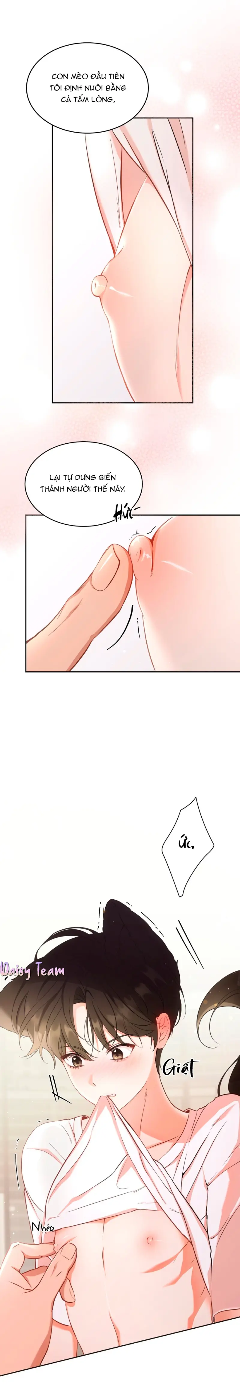 LIỆU PHÁP MÈO Chapter 1 Trang 4