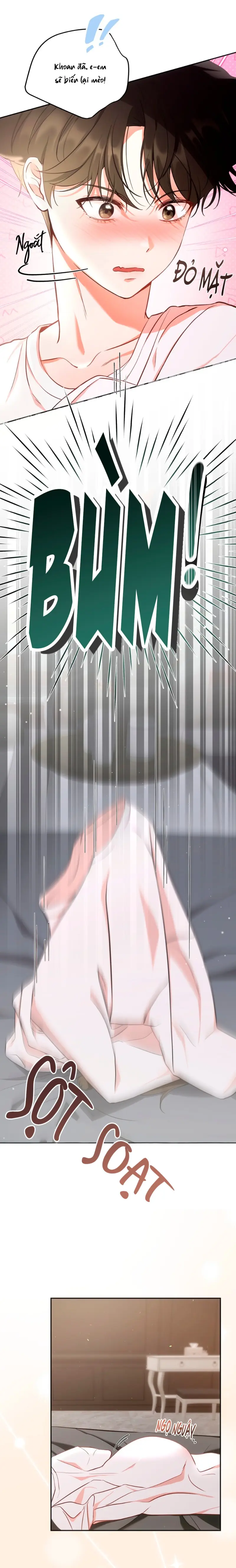 LIỆU PHÁP MÈO Chapter 1 Trang 5