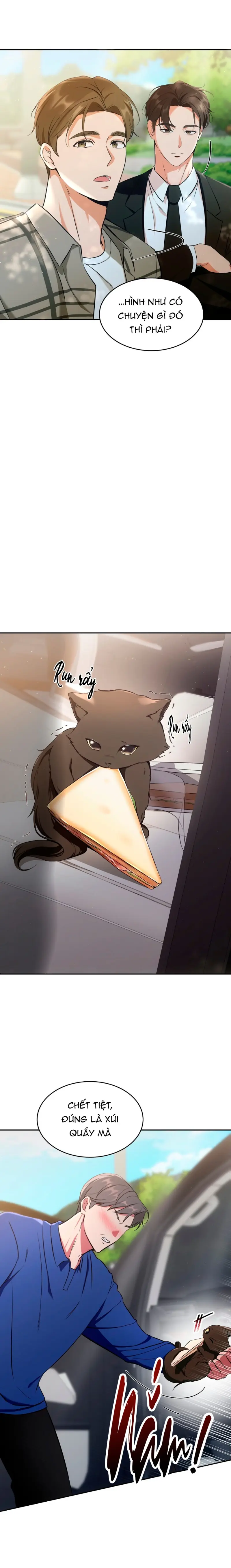 LIỆU PHÁP MÈO Chapter 1 Trang 12