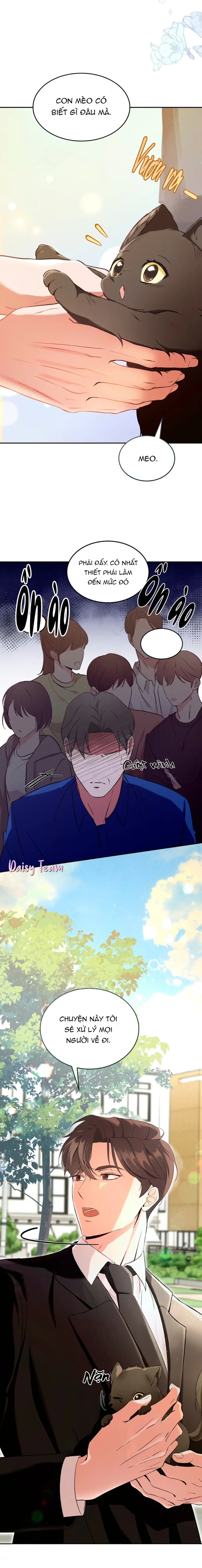 LIỆU PHÁP MÈO Chapter 1 Trang 16