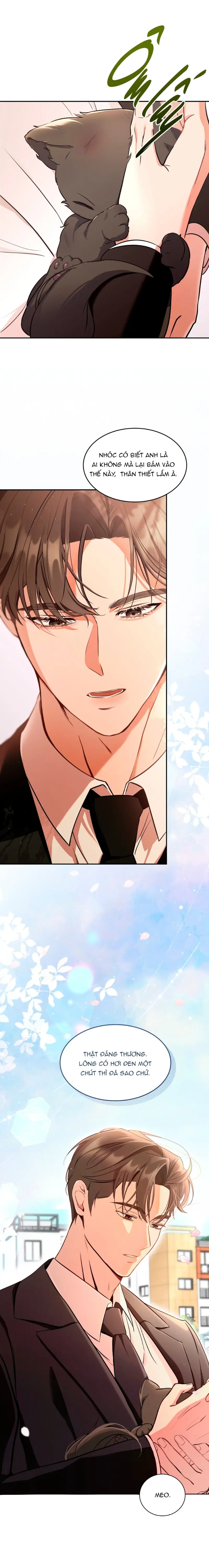 LIỆU PHÁP MÈO Chapter 1 Trang 17