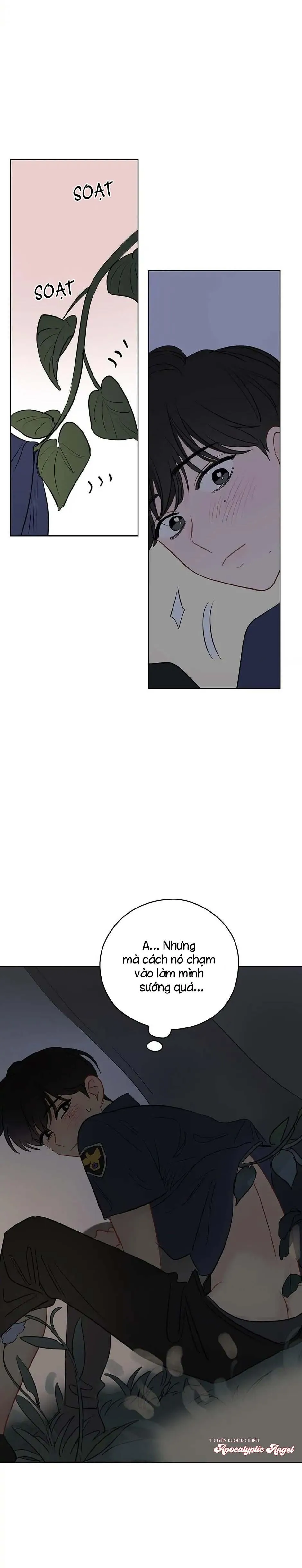 Liệu Rằng... Đây Có Phải Chỉ Là Một Giấc Mơ Không!? Chapter 23 Trang 29