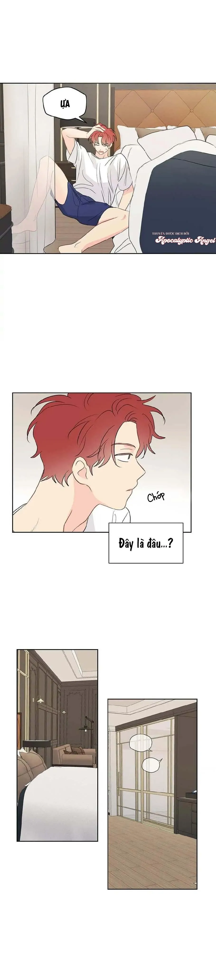 Liệu Rằng... Đây Có Phải Chỉ Là Một Giấc Mơ Không!? Chapter 31 Trang 11