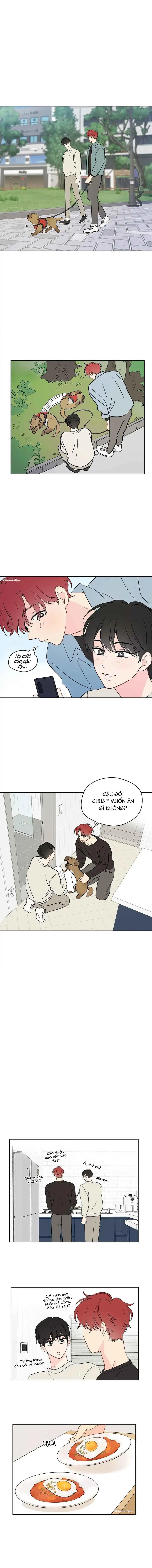 Liệu Rằng... Đây Có Phải Chỉ Là Một Giấc Mơ Không!? Chapter 41 Trang 6