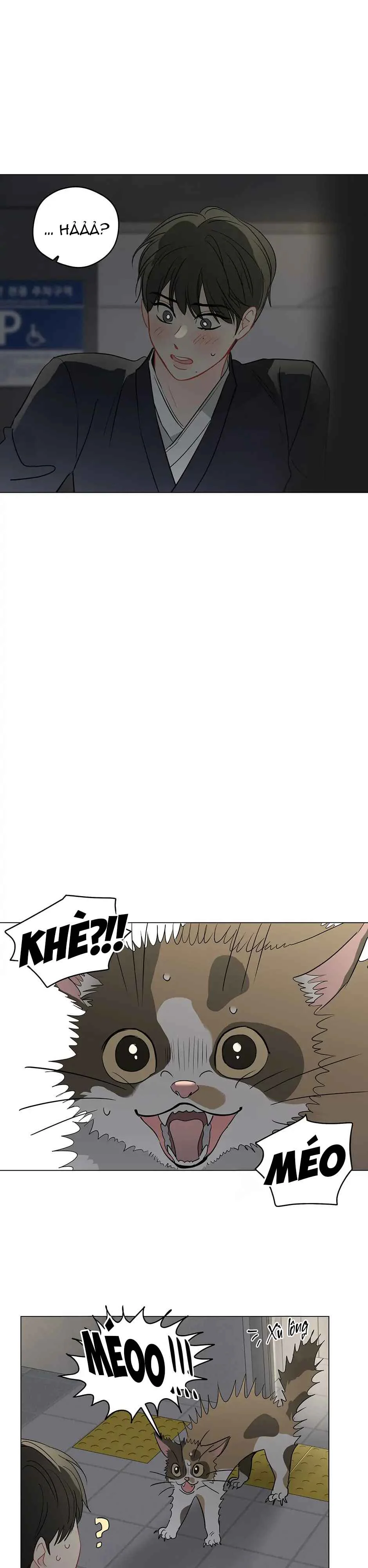 Liệu Rằng... Đây Có Phải Chỉ Là Một Giấc Mơ Không!? Chapter 51 Trang 23