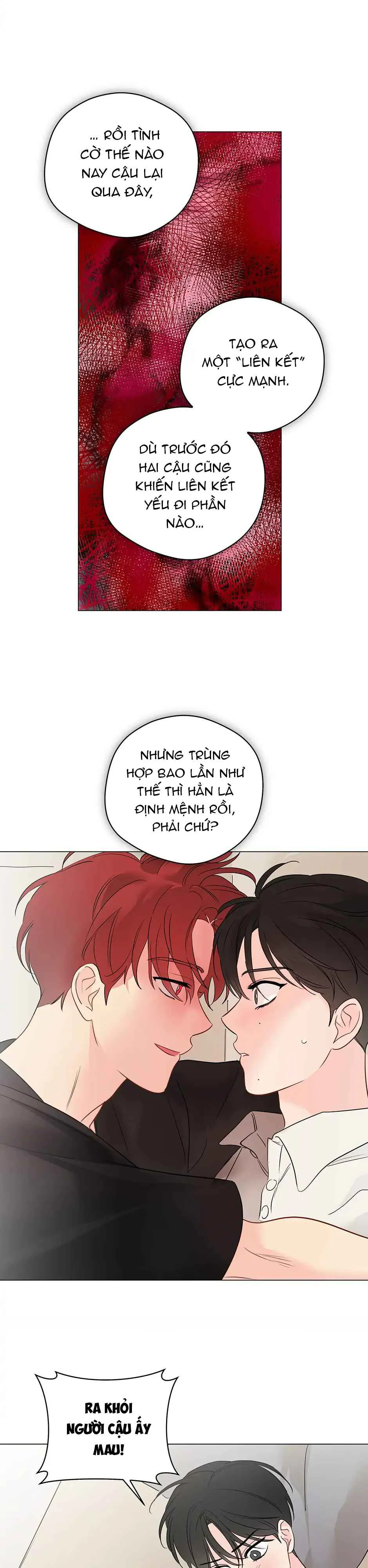 Liệu Rằng... Đây Có Phải Chỉ Là Một Giấc Mơ Không!? Chapter 54 Trang 17